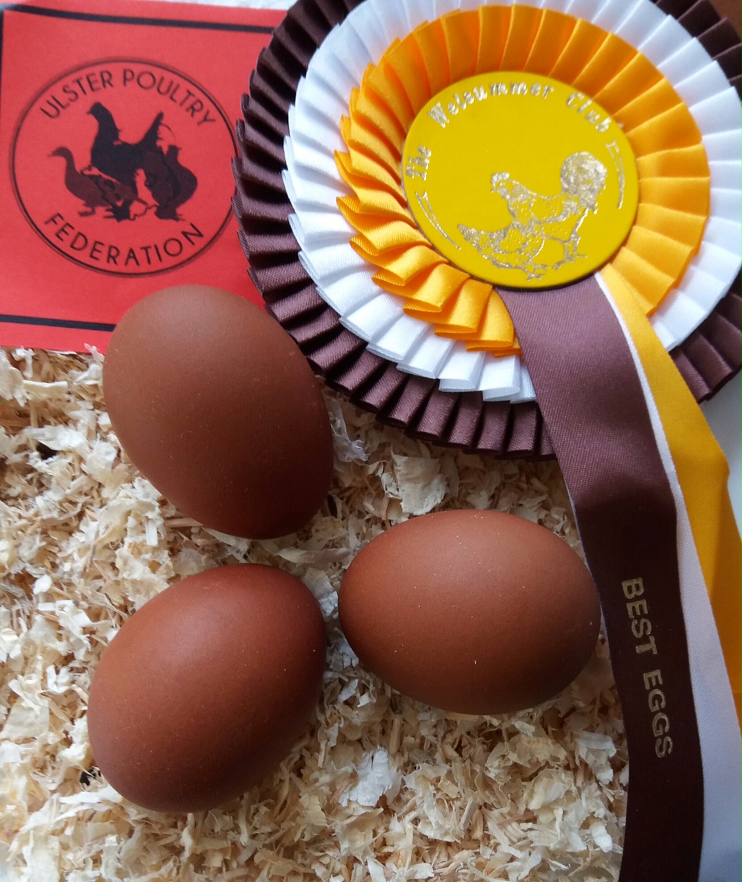 3 prize eggs